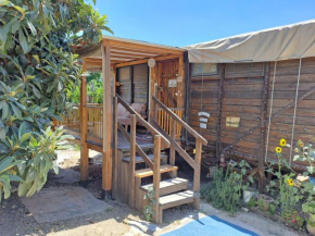  Galilee Bedouin Camplodge  Каабия-Табаш-Хаджаджра